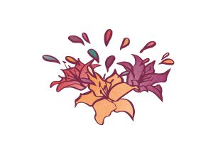 flores-baena